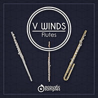 VWinds Flutes product image
