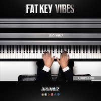 Fat Key Vibes product image