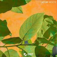Latin Beats product image