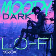 Moody Dark Lo-fi product image