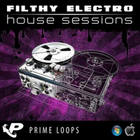 Filthy Electro House Sessions product image