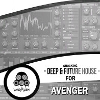 Shocking Deep & Future House For Avenger product image
