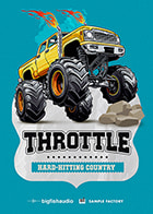 Throttle: Hard Hitting Country product image