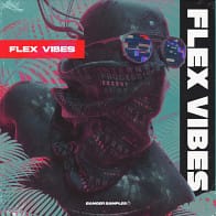 Flex Vibes product image