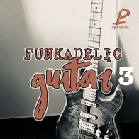 Funkadelic Guitar 3 Funk Loops