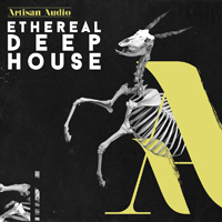 Ethereal Deep House - Created to give warmth, passion and inject an organic undertone