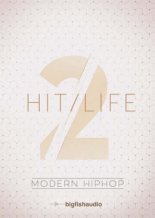 Hit Life 2: Modern Hip Hop - 50 Modern Urban Construction Kits
