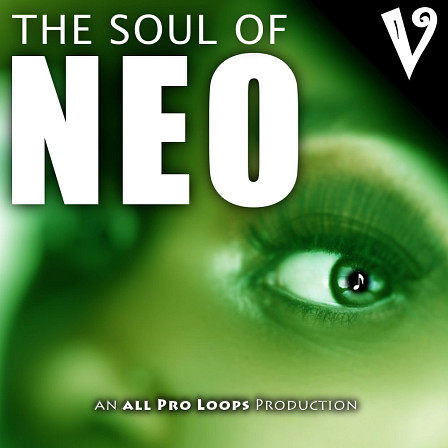 Soul of Neo 5, The - Heartfelt chords and licks that flow like butter