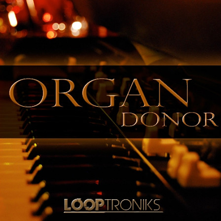 Organ Donor - One hundred electric organ loops will bring a wide array of character and color