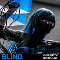 Cybernetic Neuro-Hop  product image