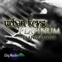 Urban Keys: Platinum Piano Licks product image