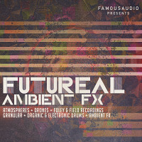 Futureal Ambient FX product image