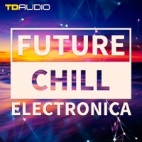 TD Audio - Future Chill & Electronica product image
