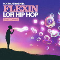Flexin - Lo-Fi Hip Hop product image