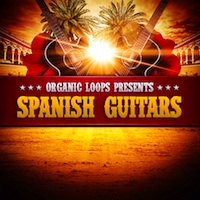 Spanish Guitar product image