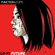 Lo-Fi Future product image
