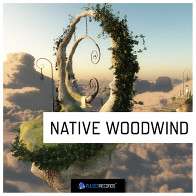 World Series: Native Woodwind product image