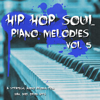 Hip Hop Soul Piano Melodies Vol 5 product image