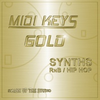 MIDI Keys Gold: Synths RnB/HipHop product image