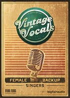 Vintage Vocals product image