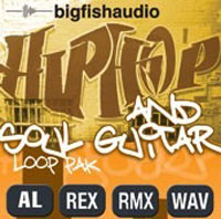 Hip Hop and Soul Guitar Pak product image