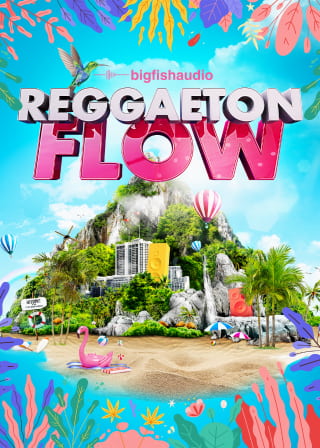 Big Fish Audio - Reggaeton Flow - 20 construction kits with a