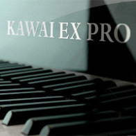 KAWAI-EX PRO product image