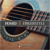 Hoard Fingerstyle Guitar/Bass Instrument