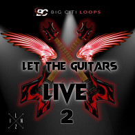 Let The Guitars Live 2 product image