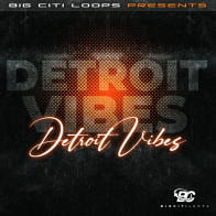Detroit Vibes product image