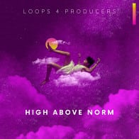High Above Norm product image