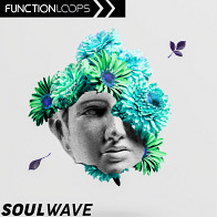 Soulwave product image