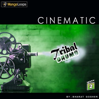 Cinematic Tribal Drums Vol 2 product image
