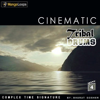 Cinematic Tribal Drums Vol 4 product image