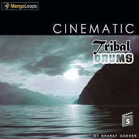 Cinematic Tribal Drums Vol 5 product image