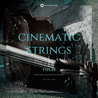Cinematic Strings Vol 13 product image