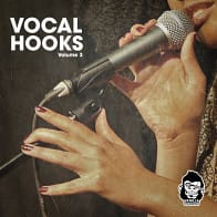Vocal Hooks Vol 3 product image