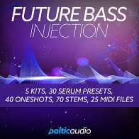Future Bass Injection product image