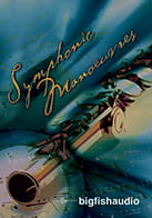 Symphonic Manoeuvres product image