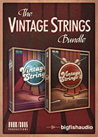 Vintage Strings Bundle Orchestral Instrument
