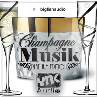Champagne Musik Platinum Edition product image